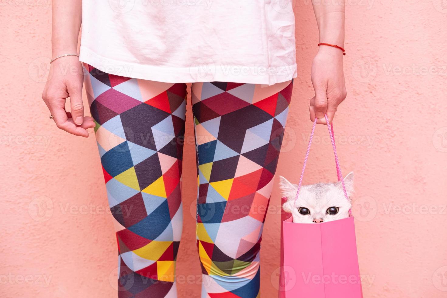 A funny cat sits in a gift bag held by a woman in multi-colored tights, on a pink background. Lifestyle. photo