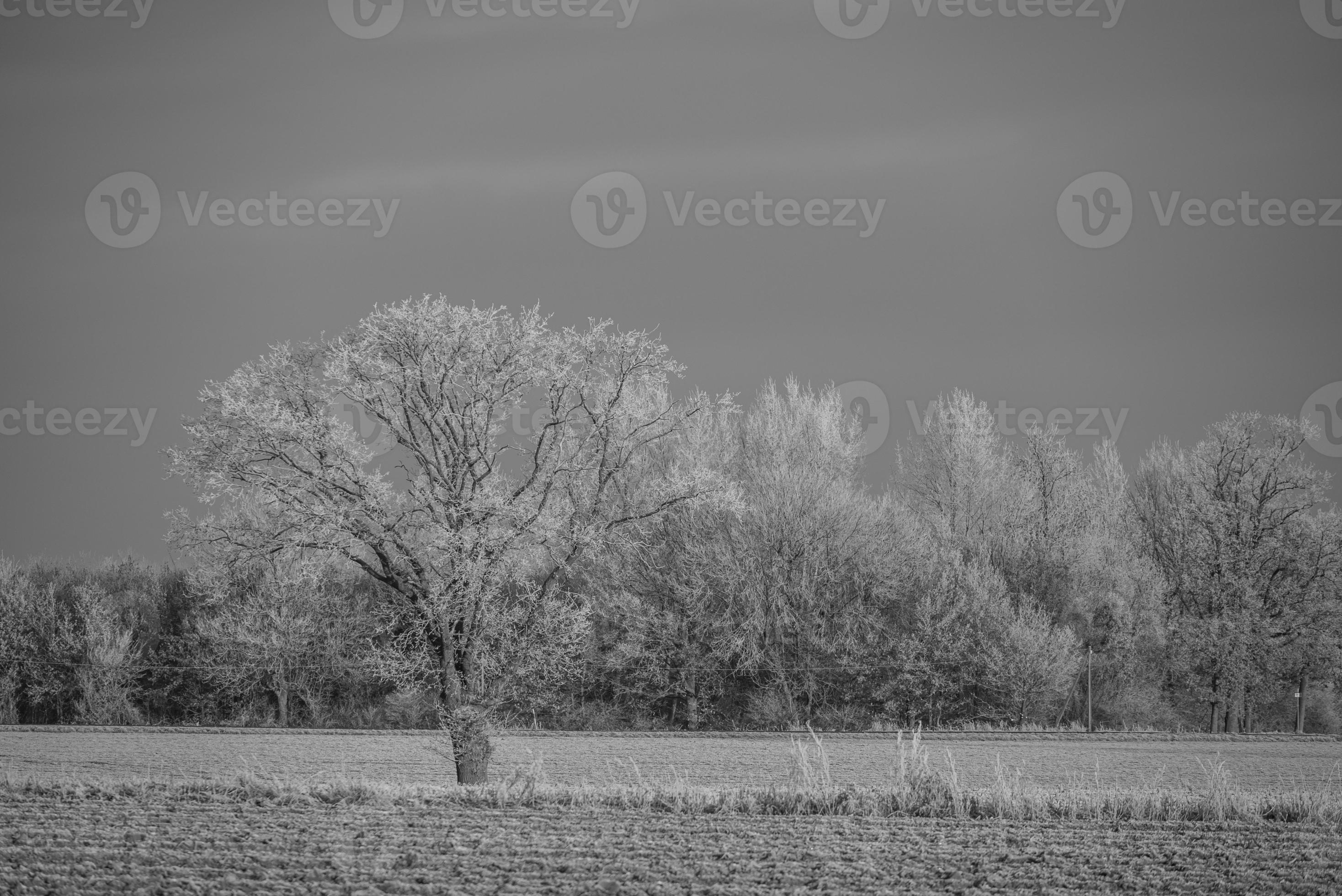 Winter time in germany 16281481 Stock Photo at Vecteezy