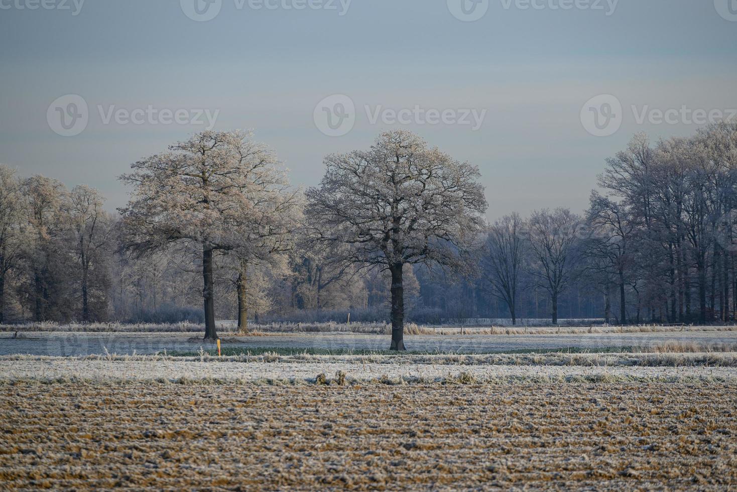 Winter time in Germany photo