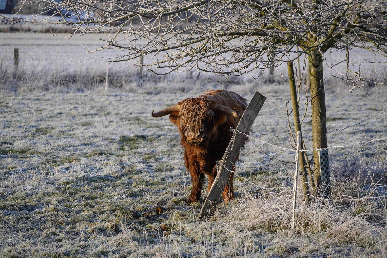 horario de invierno en alemania foto