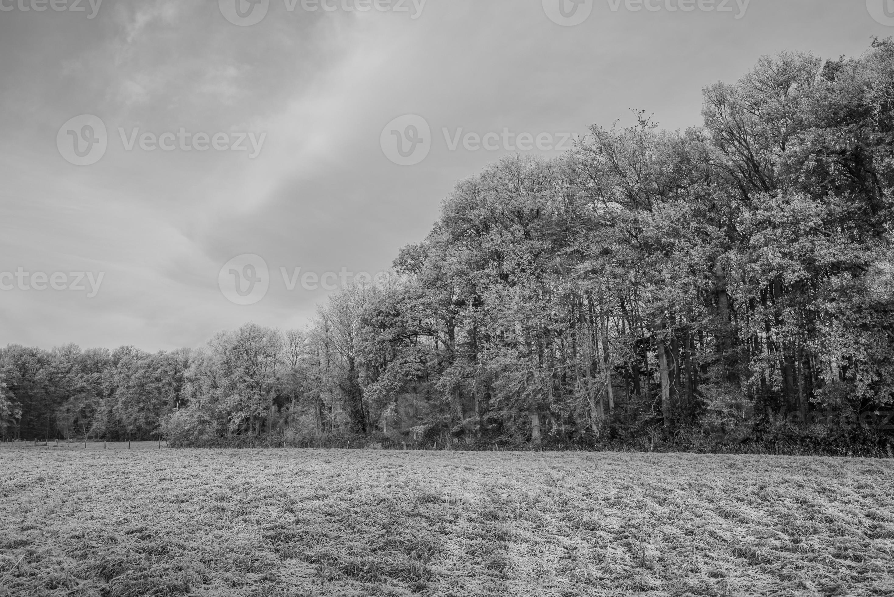 Winter time in germany 16281800 Stock Photo at Vecteezy