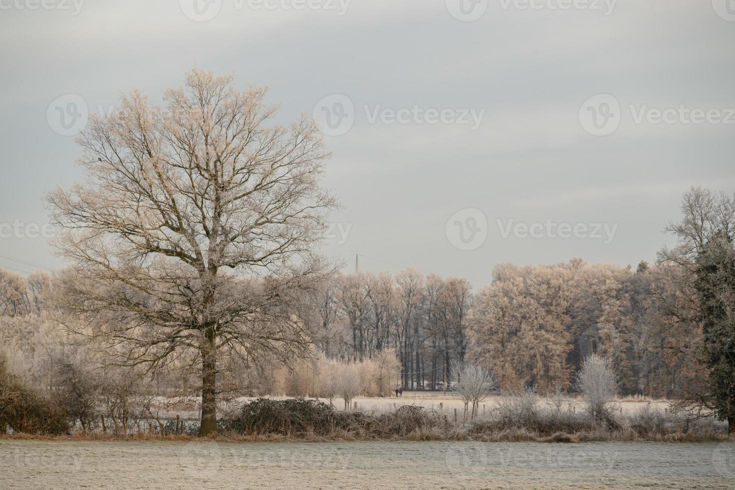 winter time in germany photo