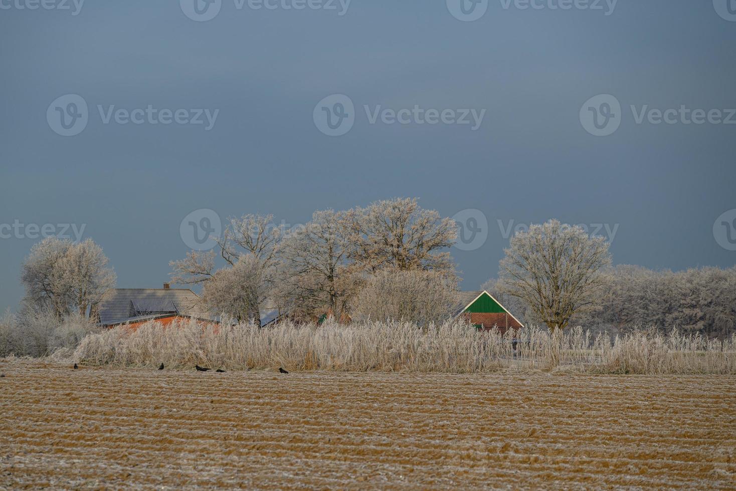 winter time in germany photo