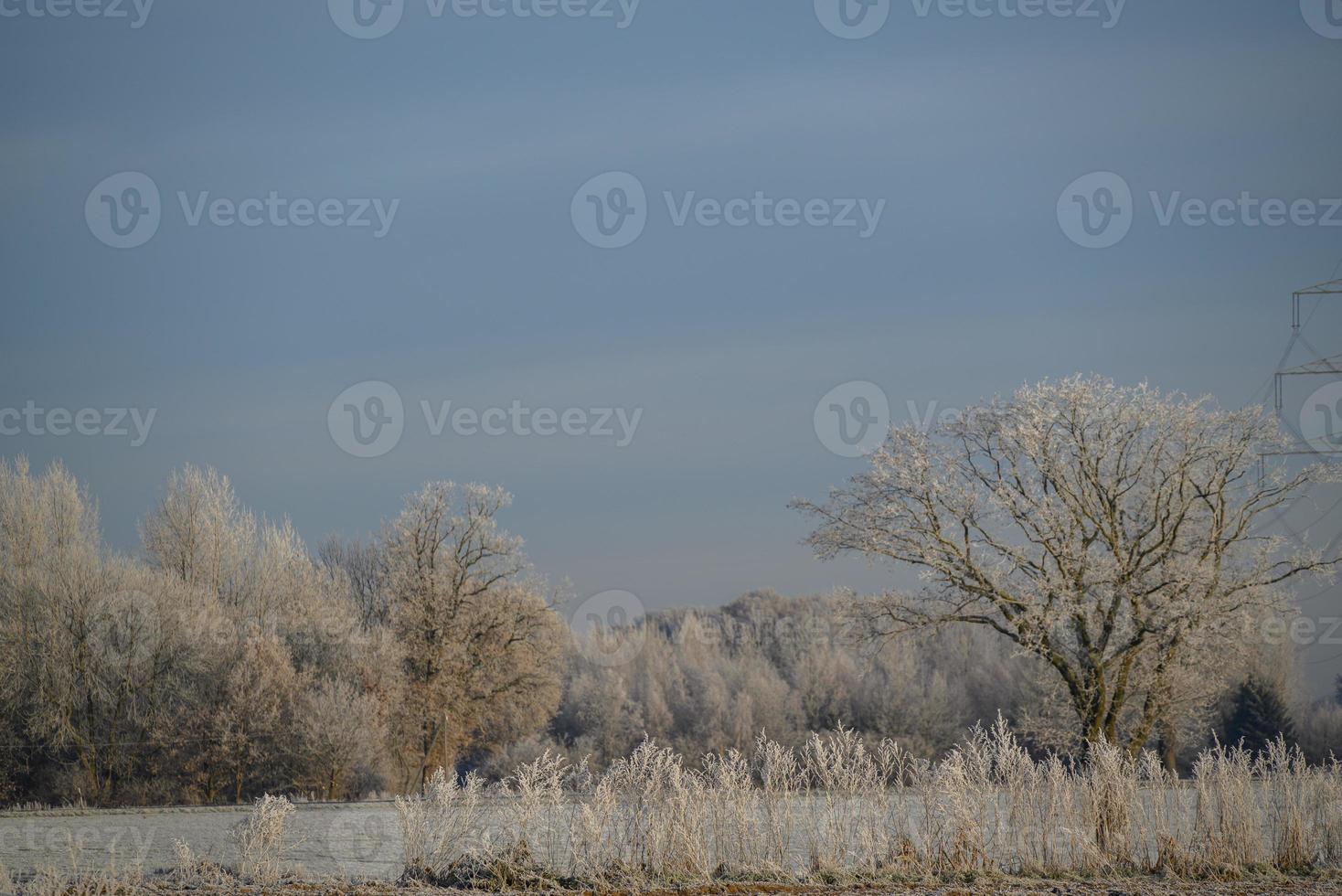 Winter time in Germany photo