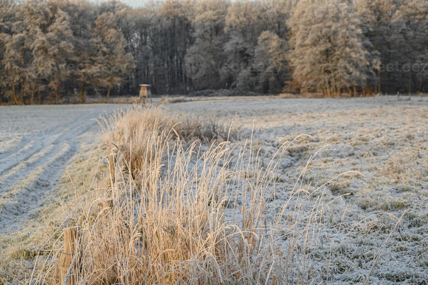 winter time in germany photo