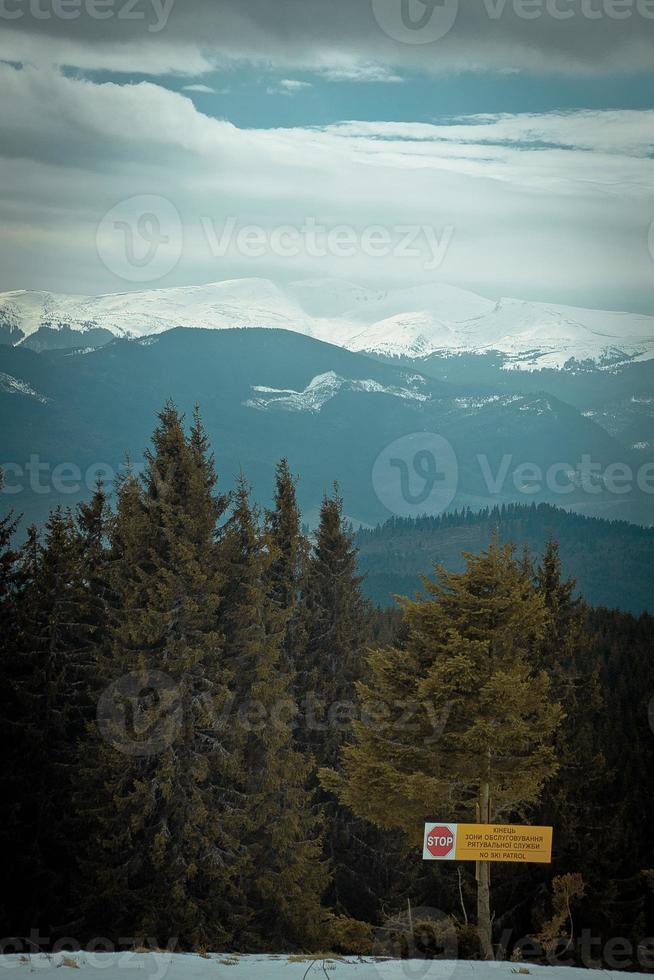 señal de advertencia cerca de la foto del paisaje del bosque de abetos