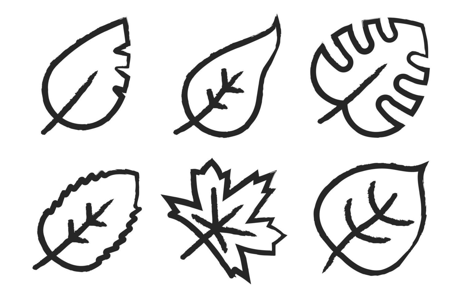 Hand Drawn Leaf Outlines vector