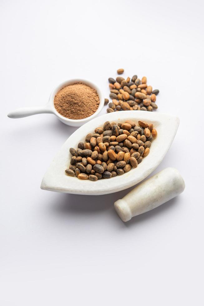 Jamalgota or Jayapala - Croton tiglium seed is an Ayurvedic medicine also known as purging croton photo