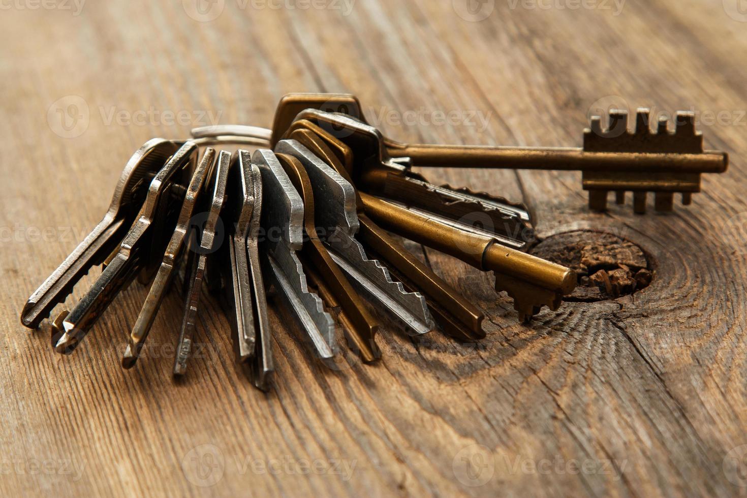 Bunch of different keys photo