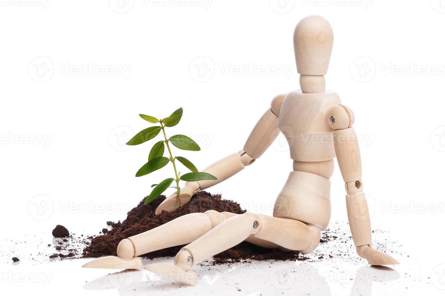 Small wooden dummy and green sprout photo