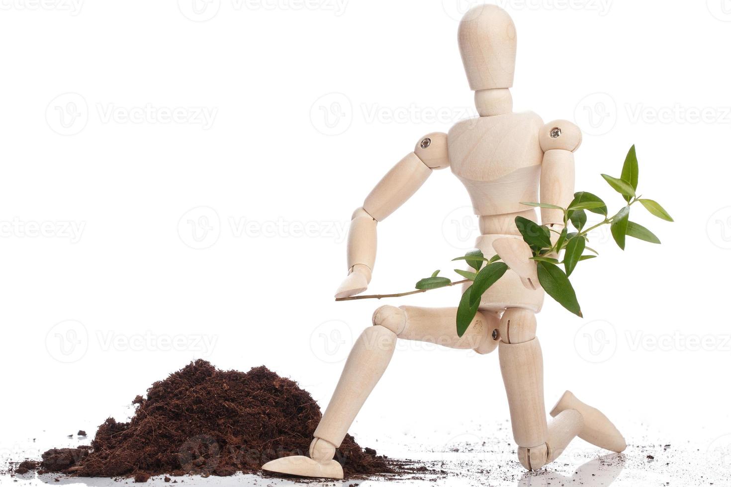 Small wooden dummy and green sprout photo