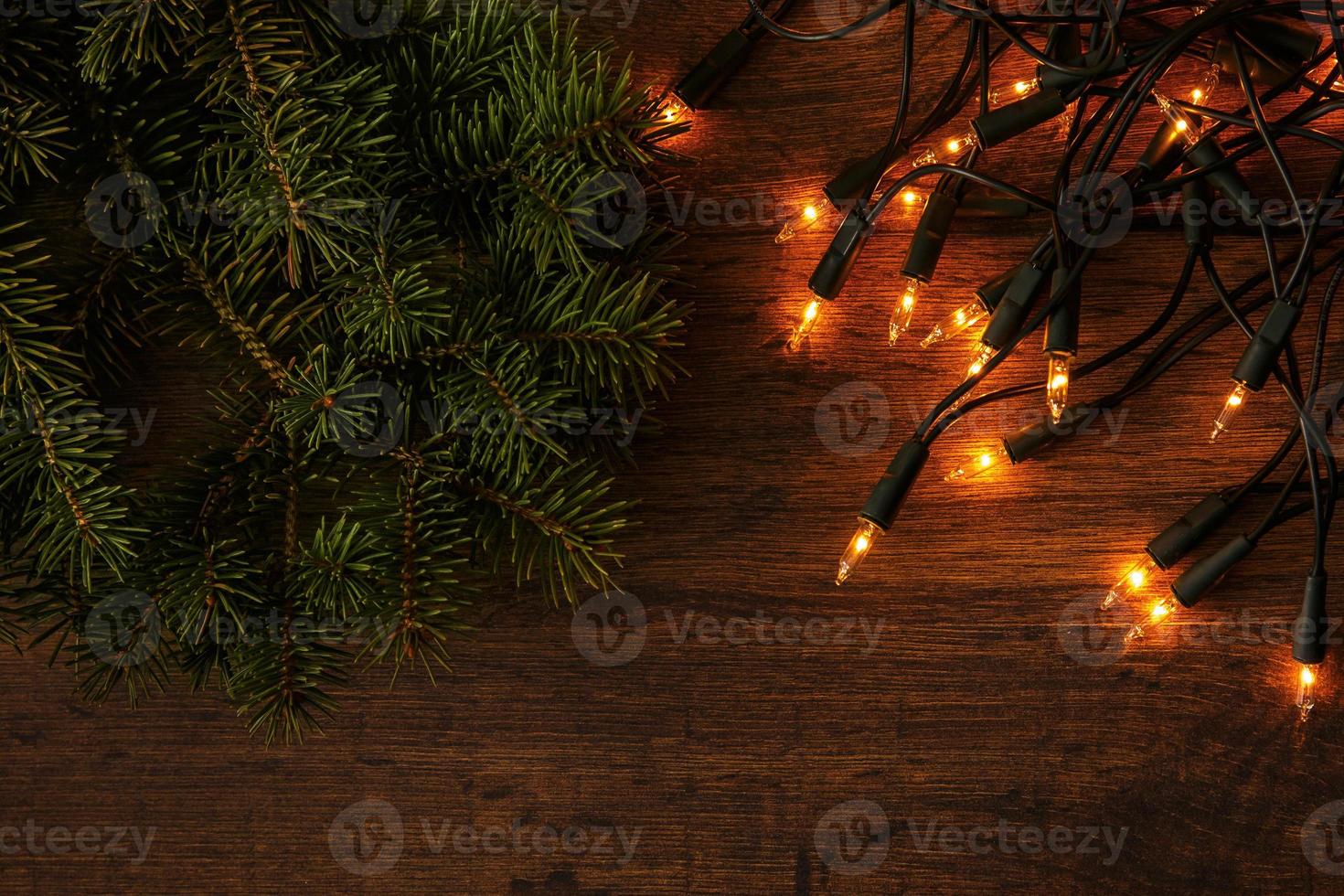 Christmas lights and branches of spruce photo
