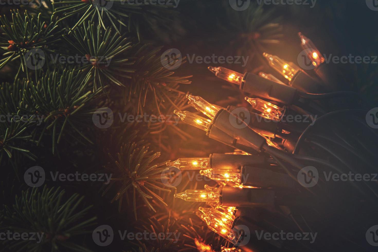 luces navideñas y ramas de abeto foto