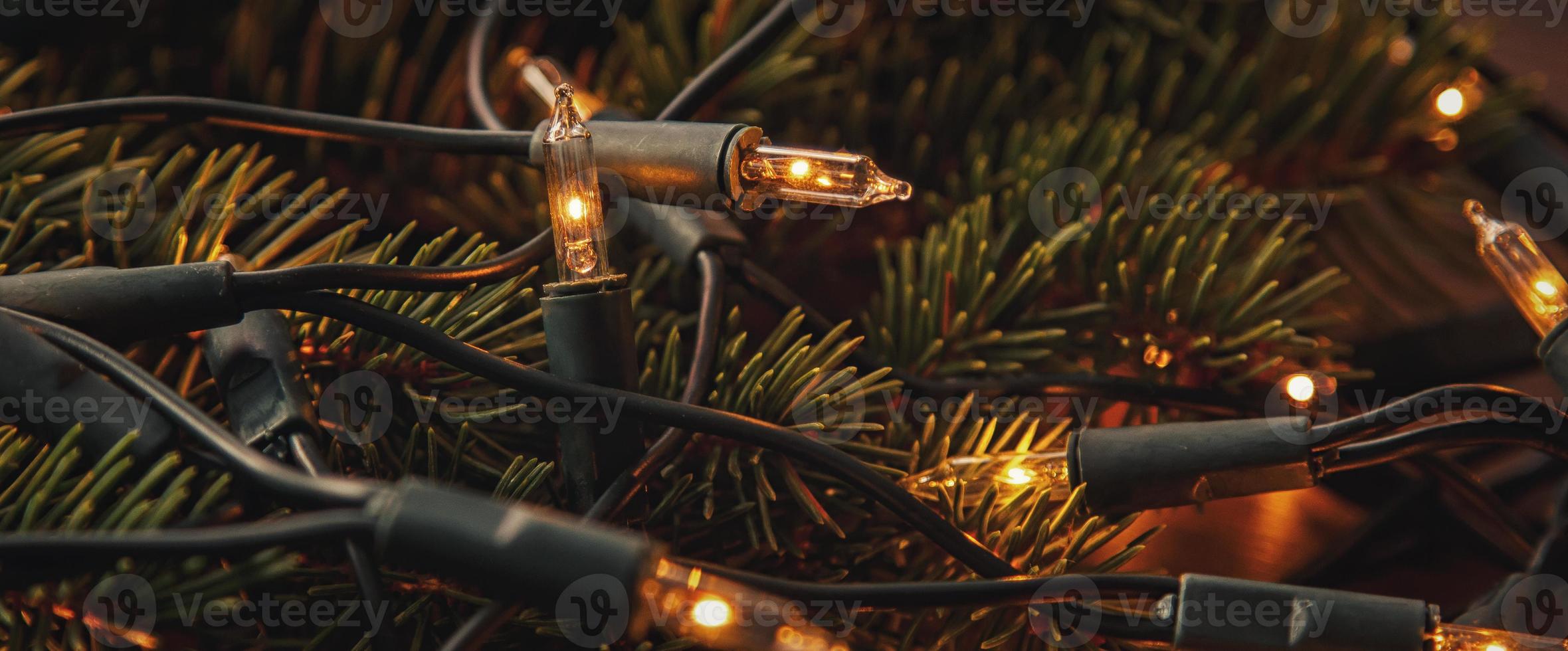 Christmas lights and branches of spruce photo