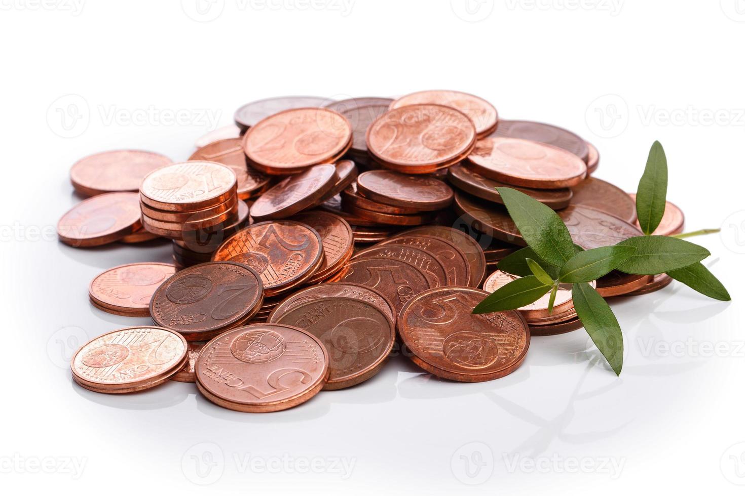 Euro cent coins and green sprout photo