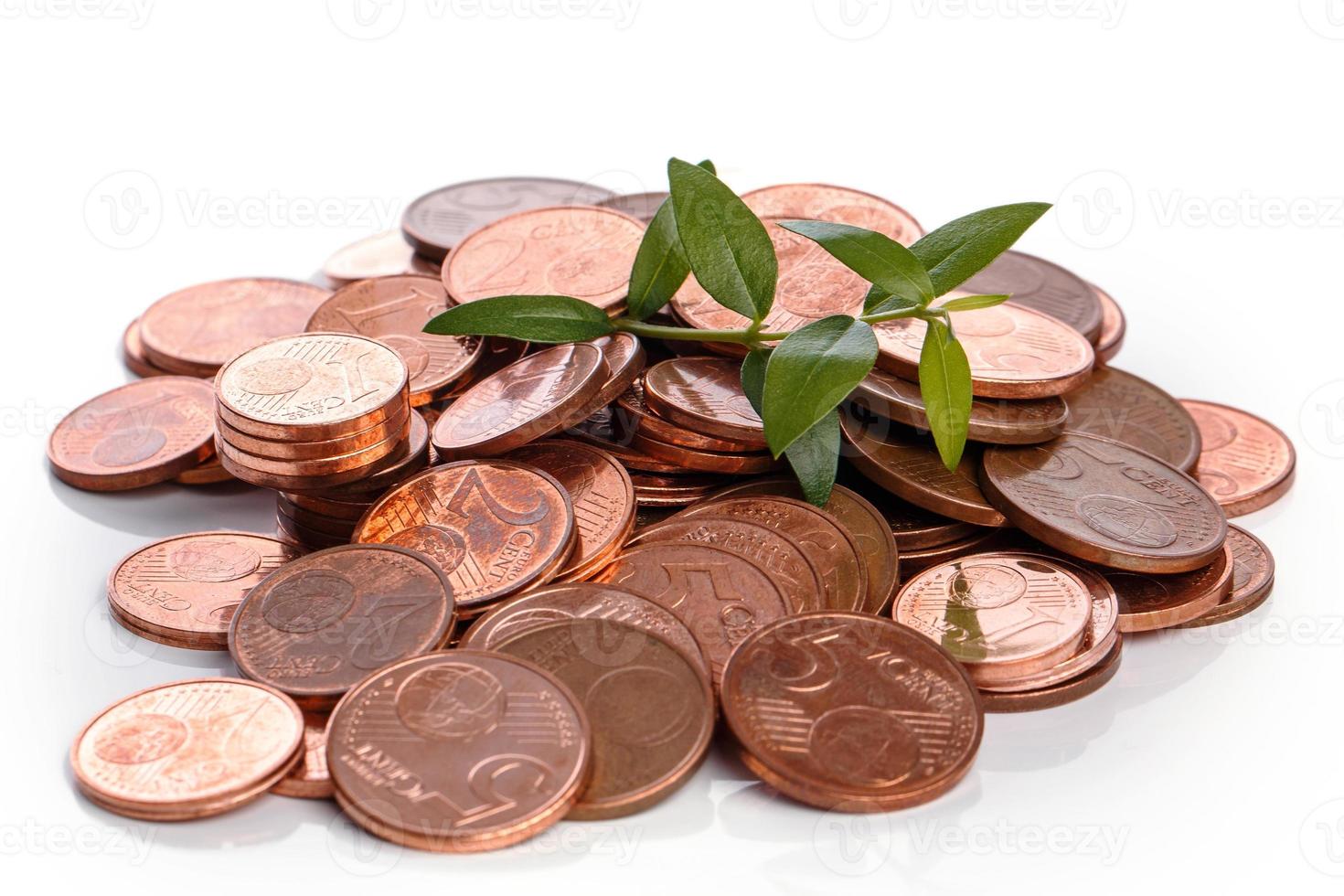 Euro cent coins and green sprout photo