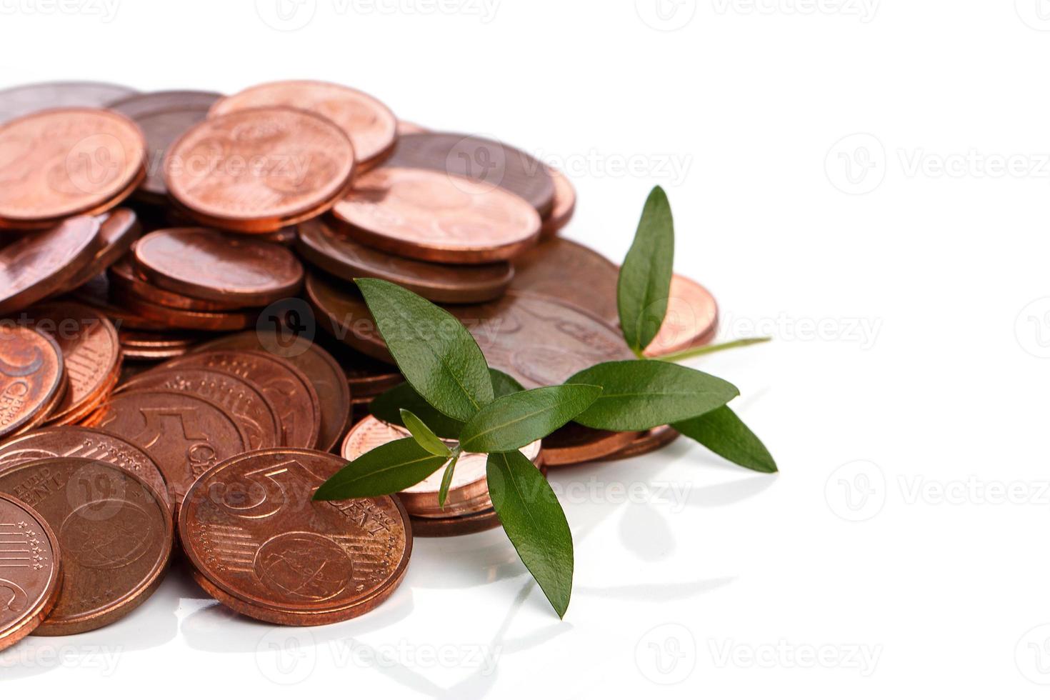 Euro cent coins and green sprout photo