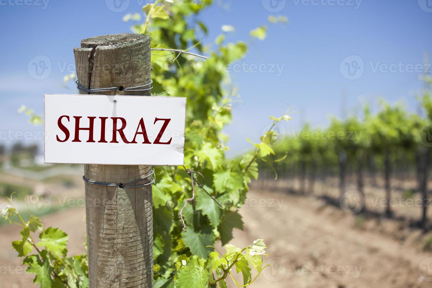 Shiraz Sign On Vineyard Post photo