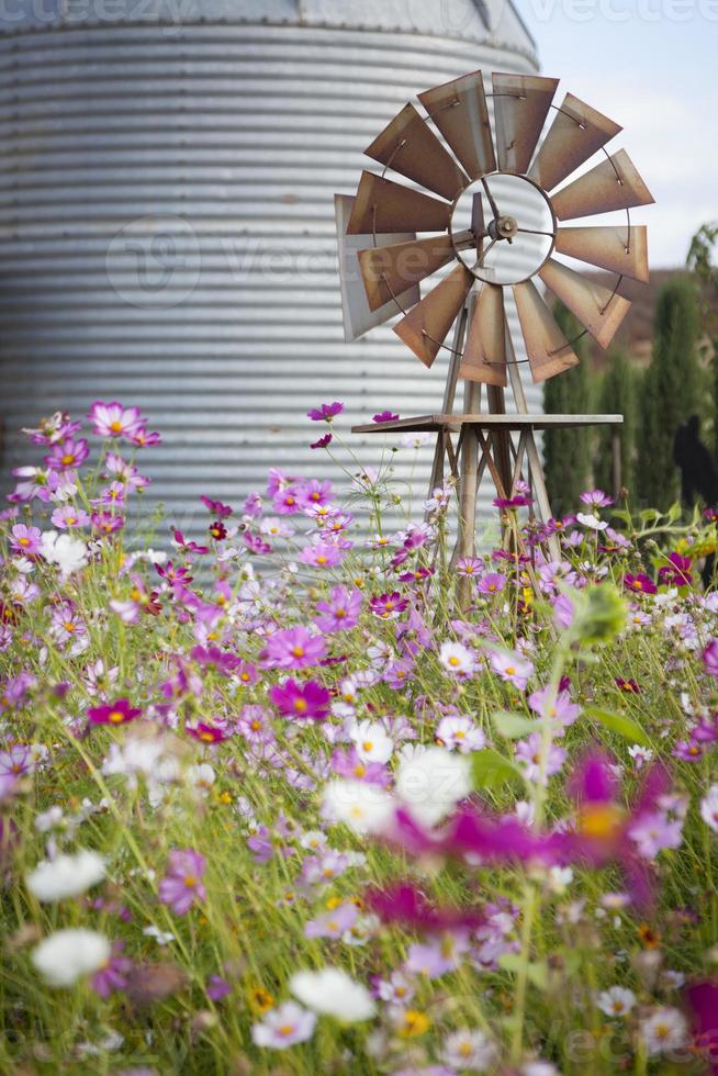 Antique Farm Windmill and Silo in a Flower Field photo