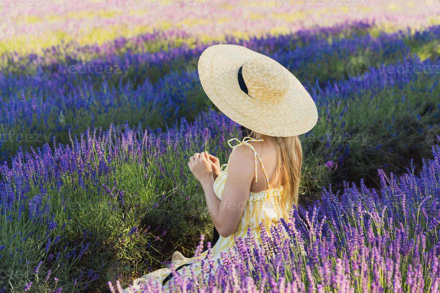 Beautiful young woman sitting in the field full of lavender flowers photo