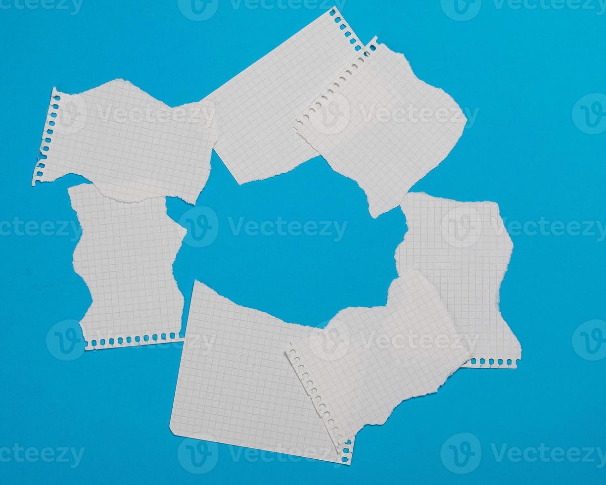 Torn pieces of checkered paper photo