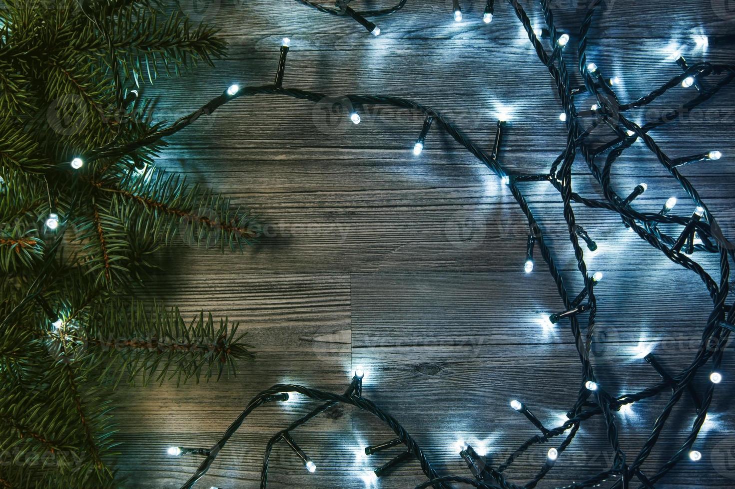 Christmas lights and branches of spruce photo