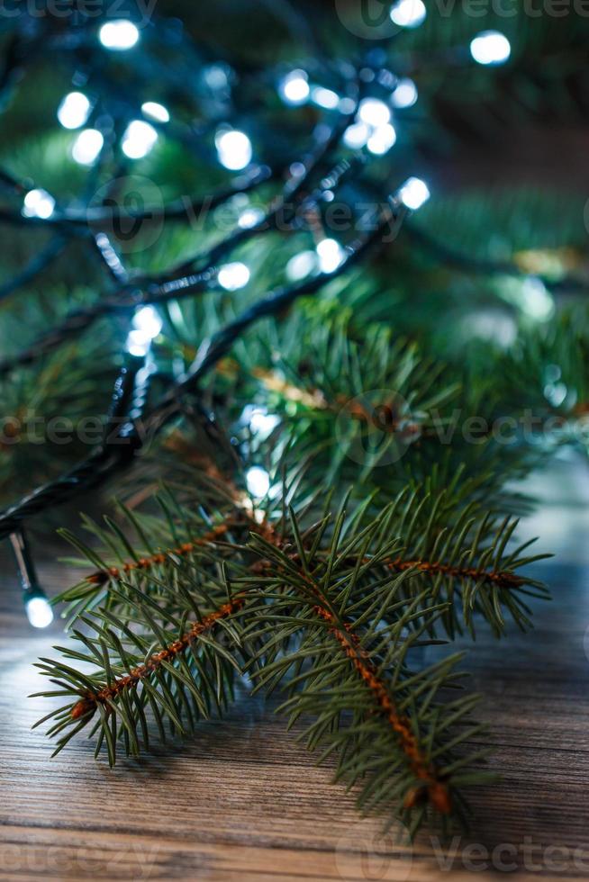 Christmas lights and branches of spruce photo