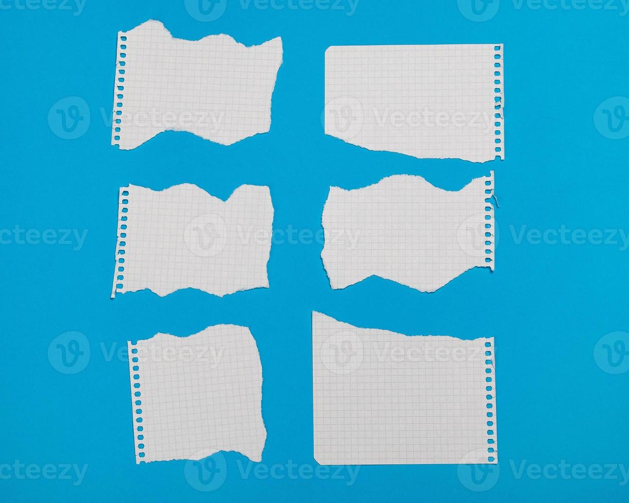 Torn pieces of checkered paper photo