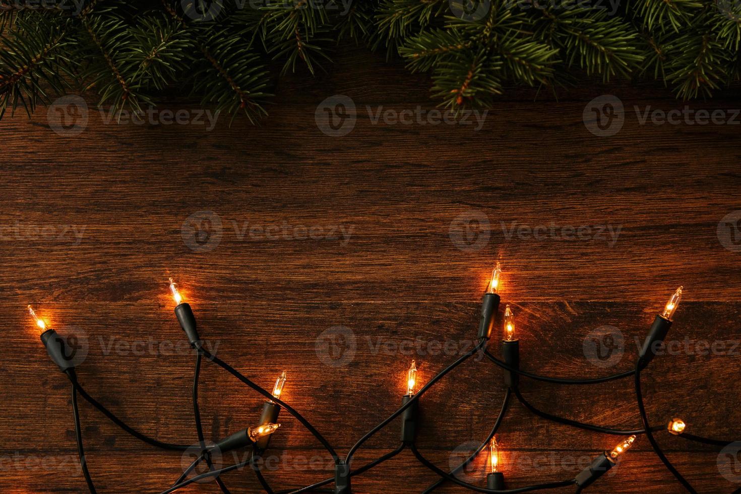 Christmas lights and branches of spruce photo