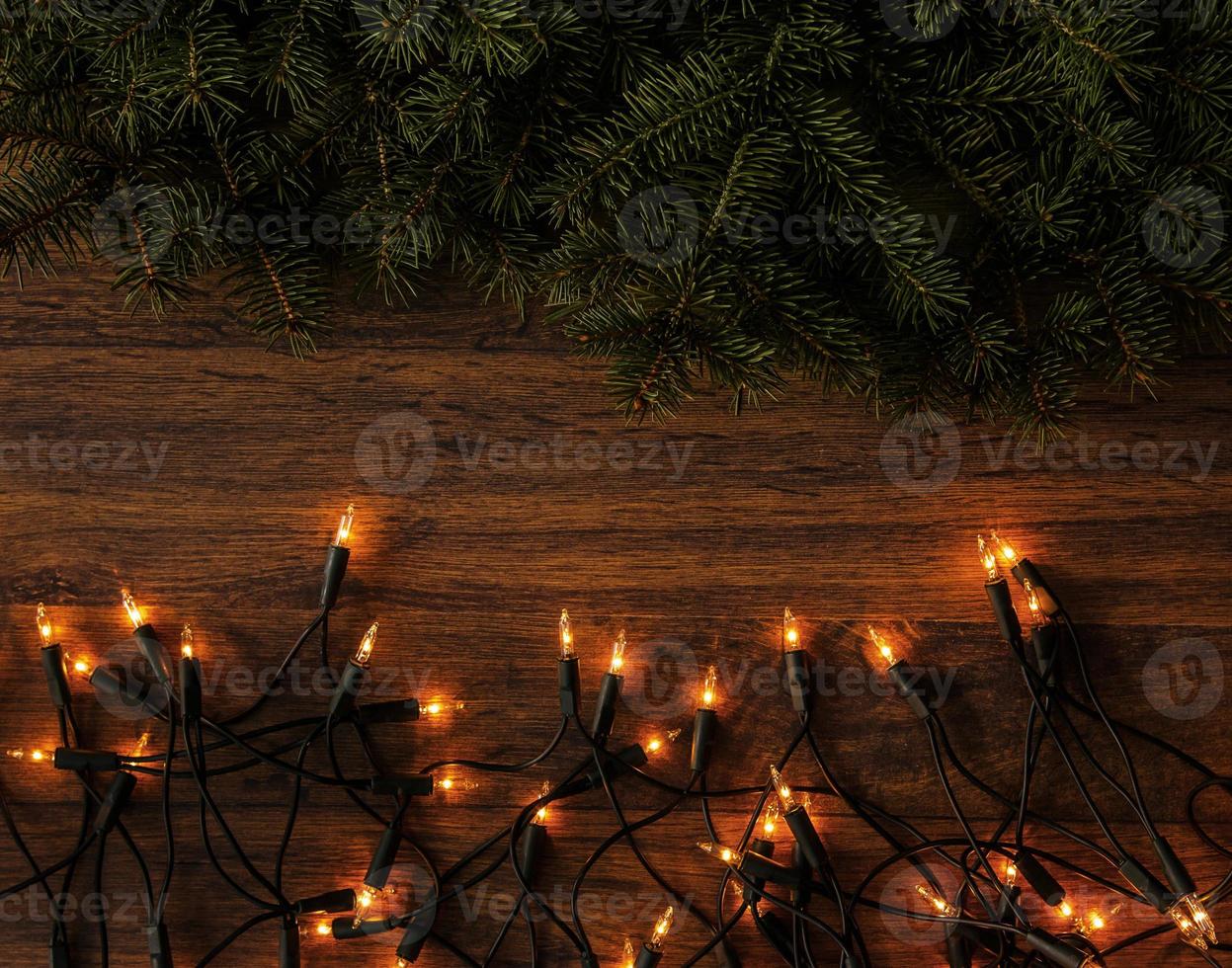 Christmas lights and branches of spruce photo