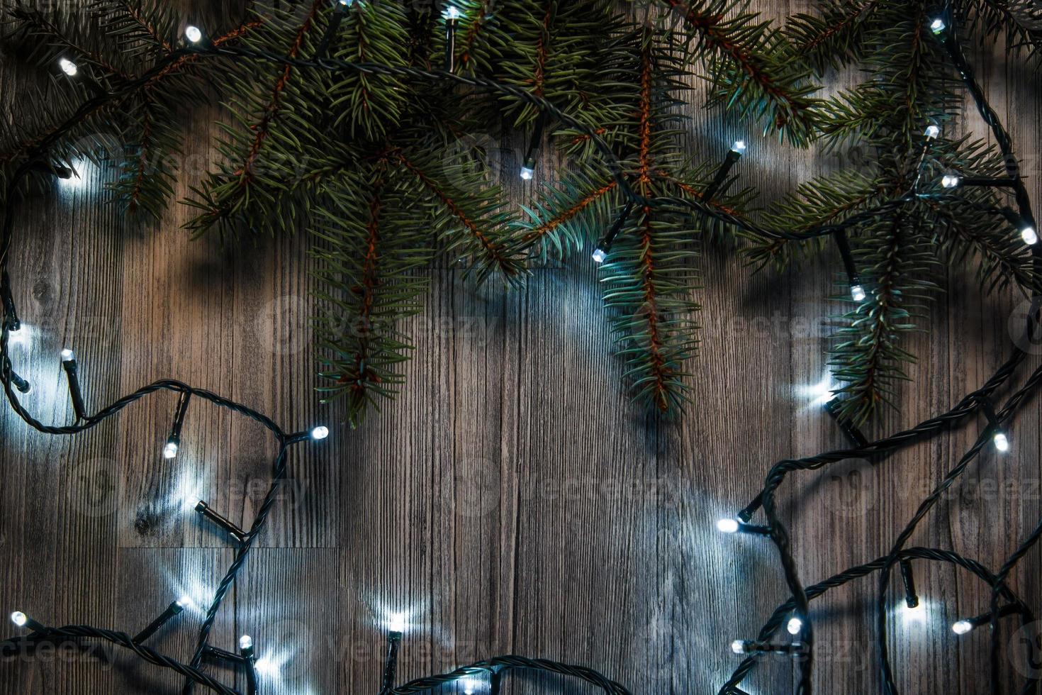 Christmas lights and branches of spruce photo