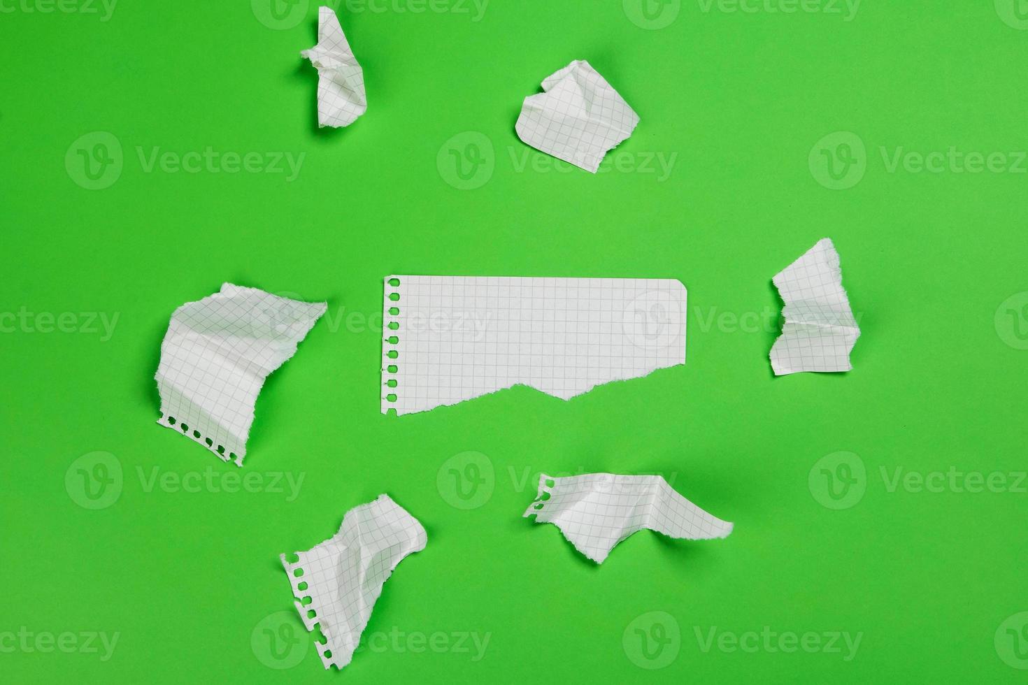 Torn pieces of checkered paper photo