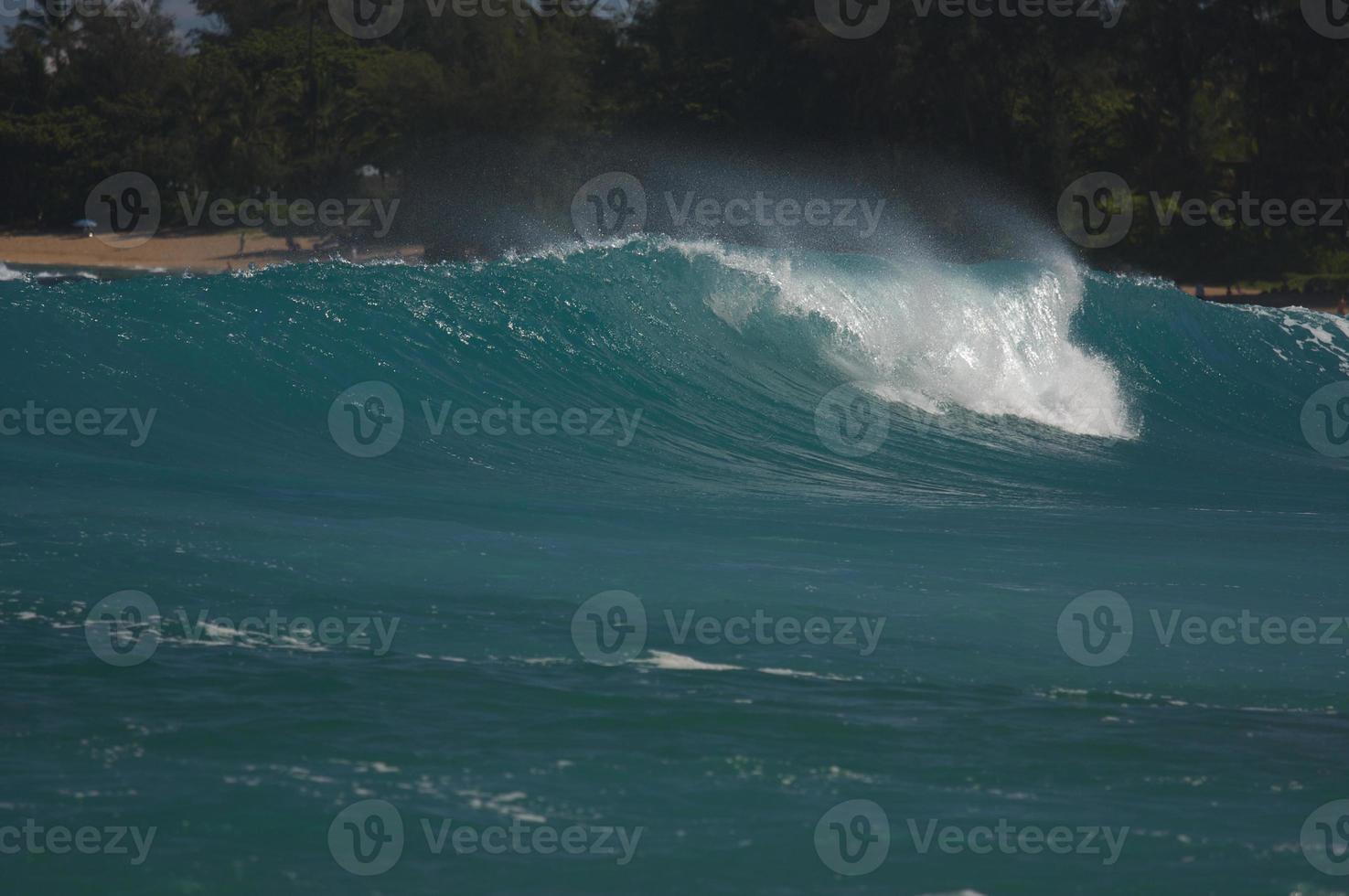 Dramatic Shorebreak Wave photo