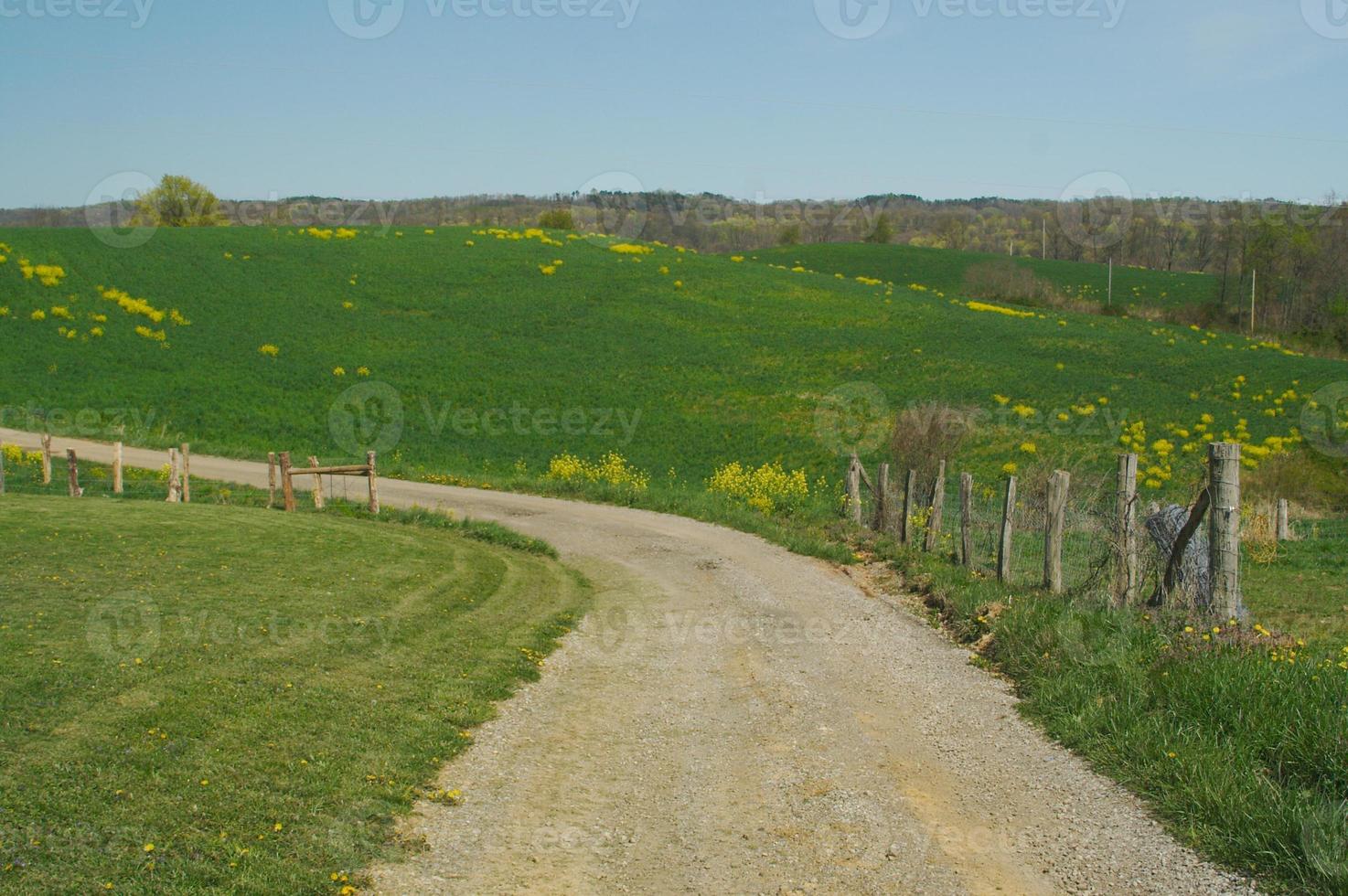 Country road and meadow. photo