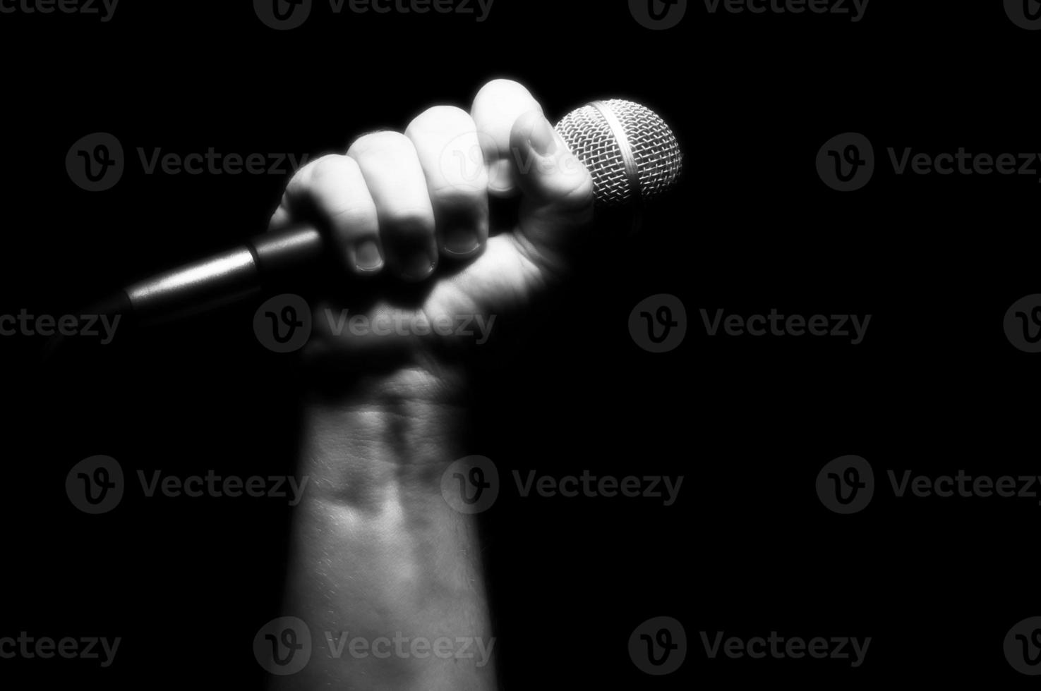 Grayscale Microphone in Fist photo