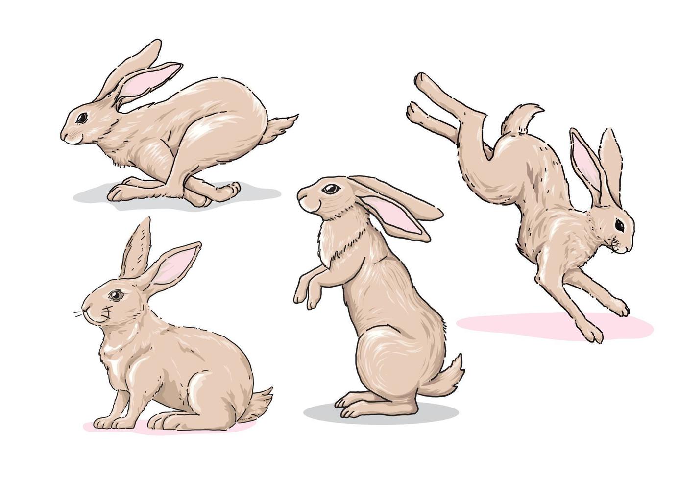 collection of hand drawn Cute Rabbit Illustration vector