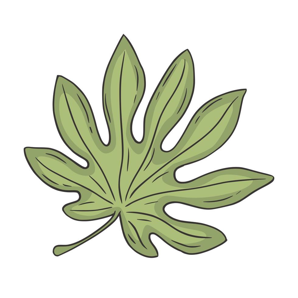 ilustración de vector de garabato de hoja tropical