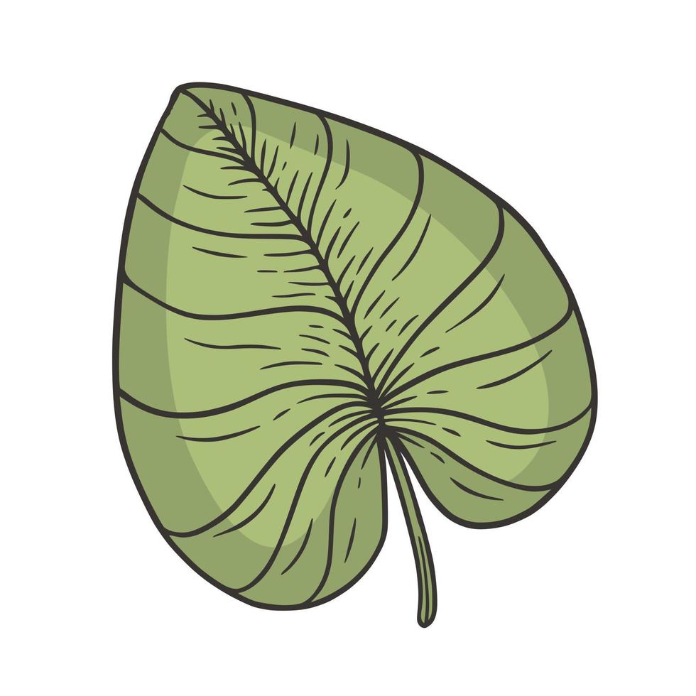 ilustración de vector de garabato de hoja tropical