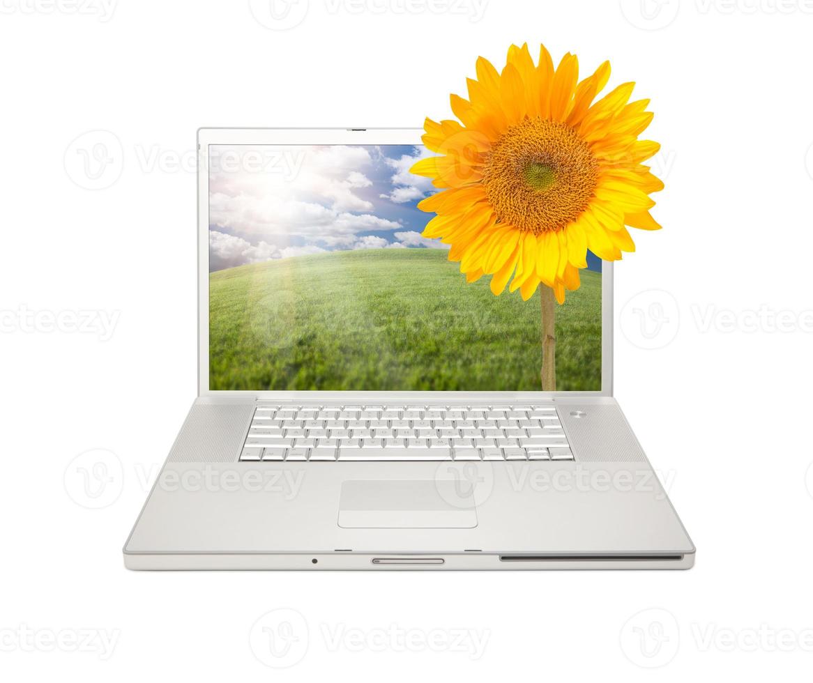 Silver Computer Laptop Isolated with Sunflower photo