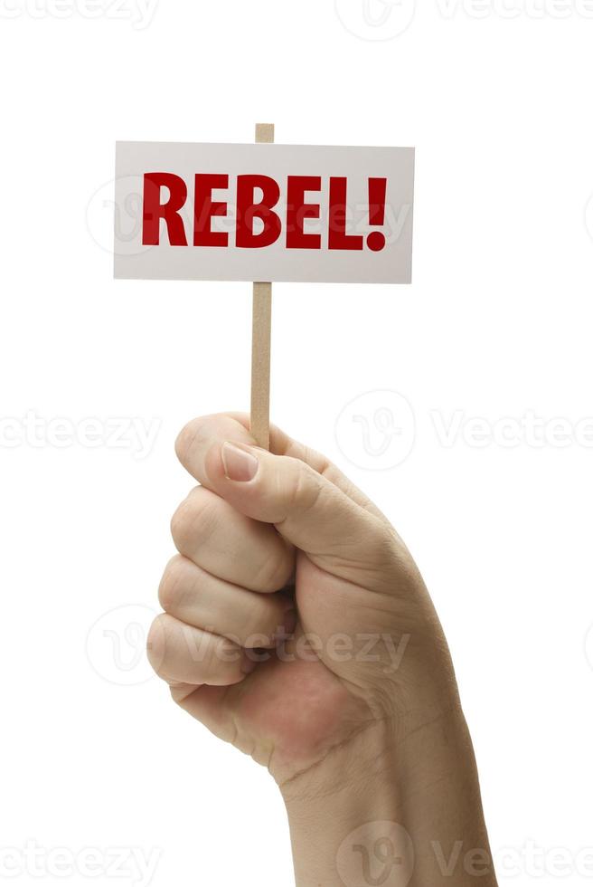 Sign In Fist On White photo