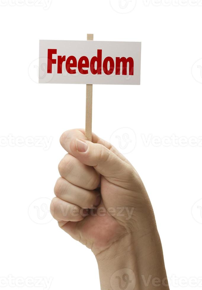Sign In Fist On White photo