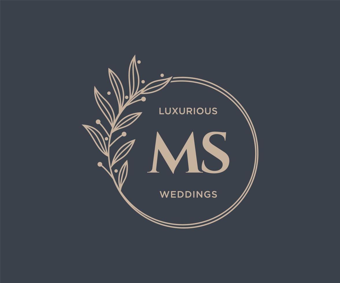 Plantilla de logotipos de monograma de boda con letras iniciales ms, plantillas florales y minimalistas modernas dibujadas a mano para tarjetas de invitación, guardar la fecha, identidad elegante. vector