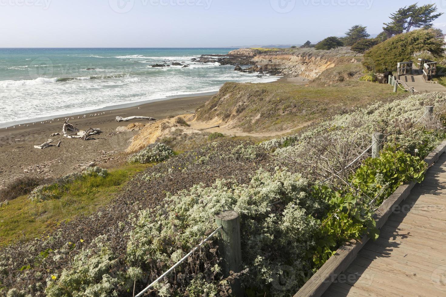 Wooden Walkway Along Ocean Coast photo