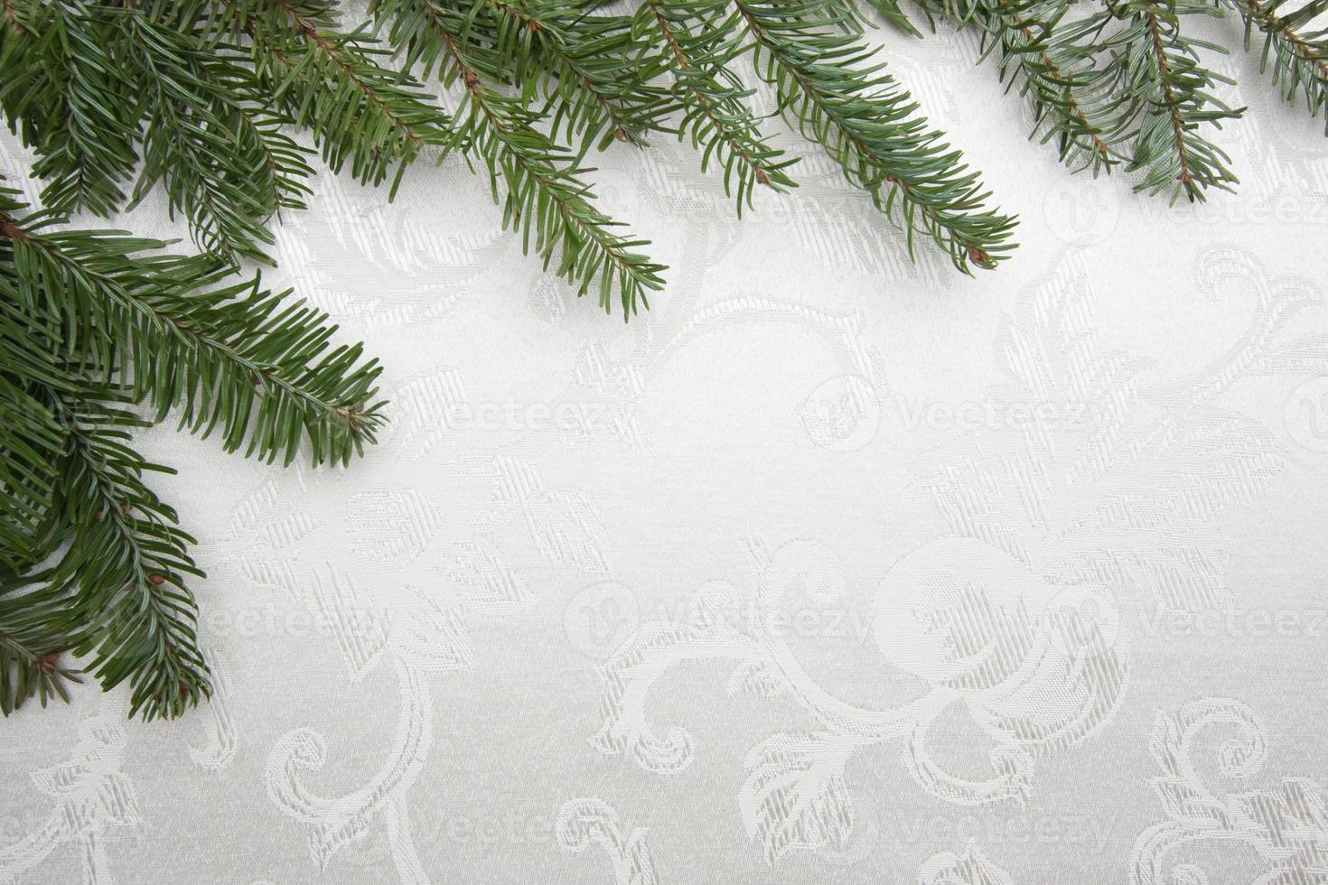 Silk Christmas Background Framed with Pine Branches photo