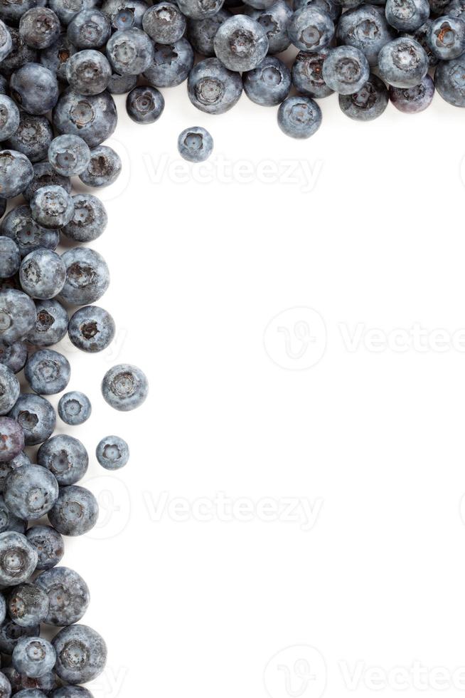 Fresh Blueberries Border photo