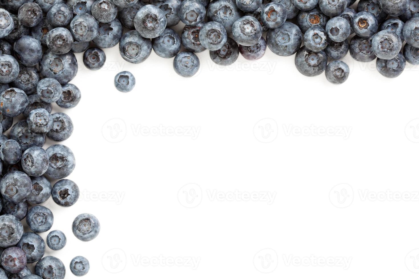 Fresh Blueberries Border photo