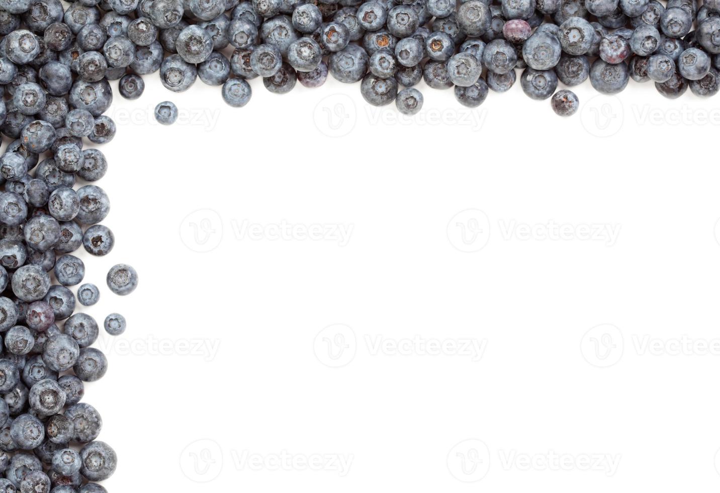 Fresh Blueberries Border photo