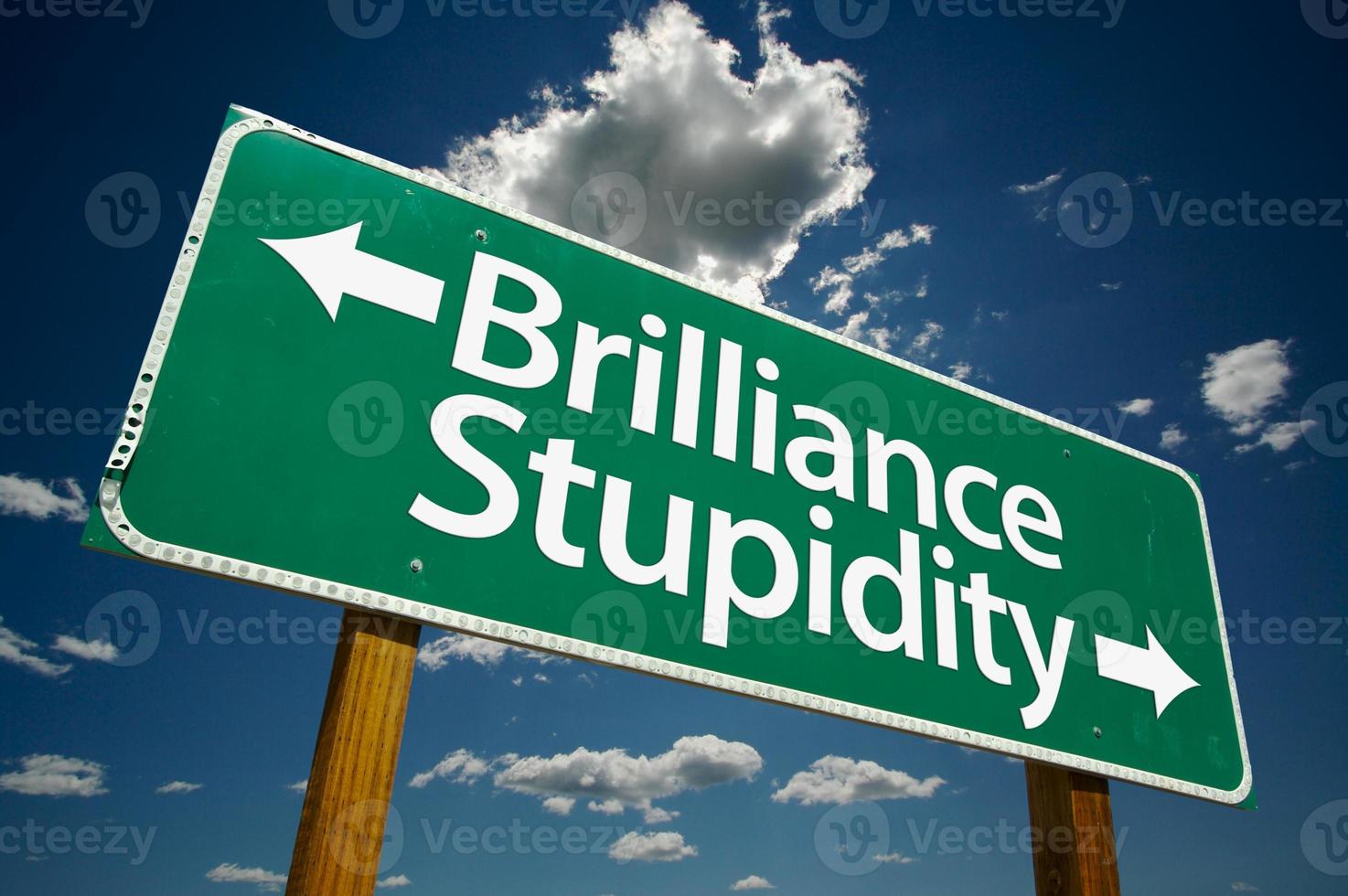 Brilliance, Stupidity Green Road Sign photo