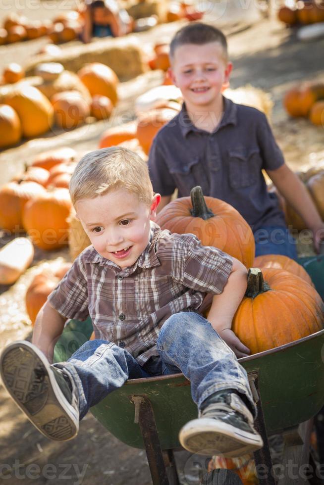 dos niños pequeños jugando en la carretilla en el huerto de calabazas foto