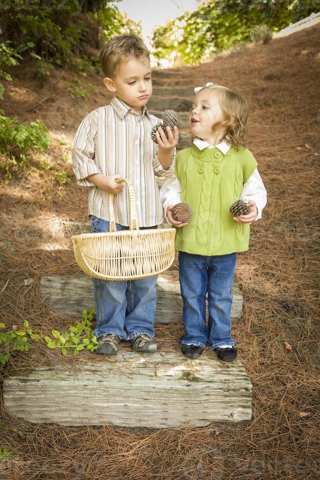 Two Children with Basket Collecting Pine Cones Outside photo